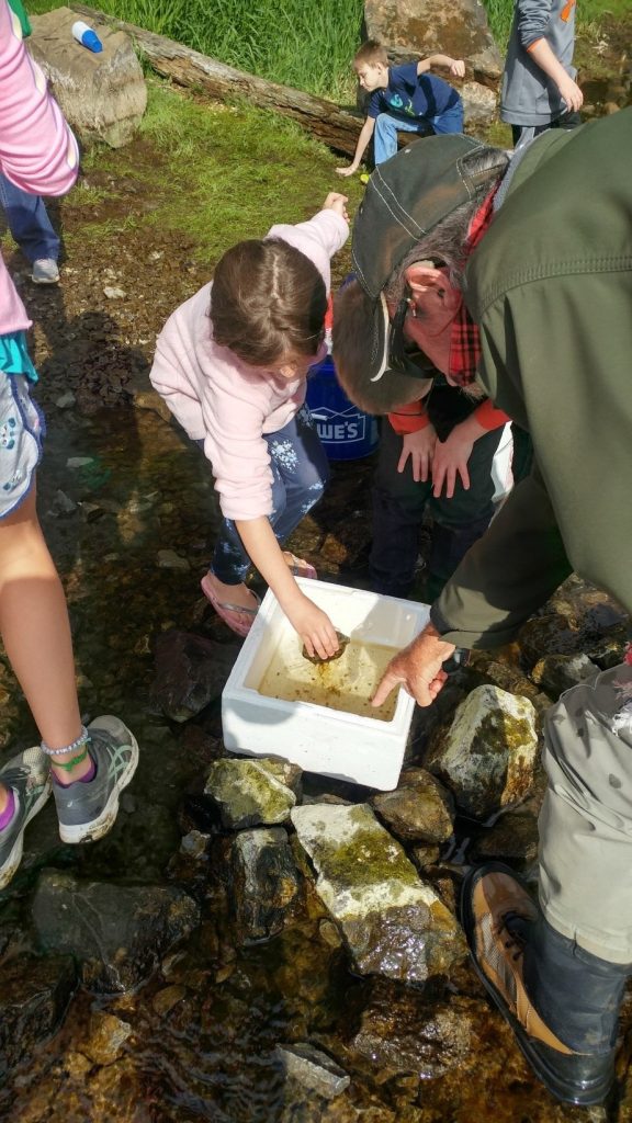 Trout in the Classroom End of School Year Rainbow Trout Release