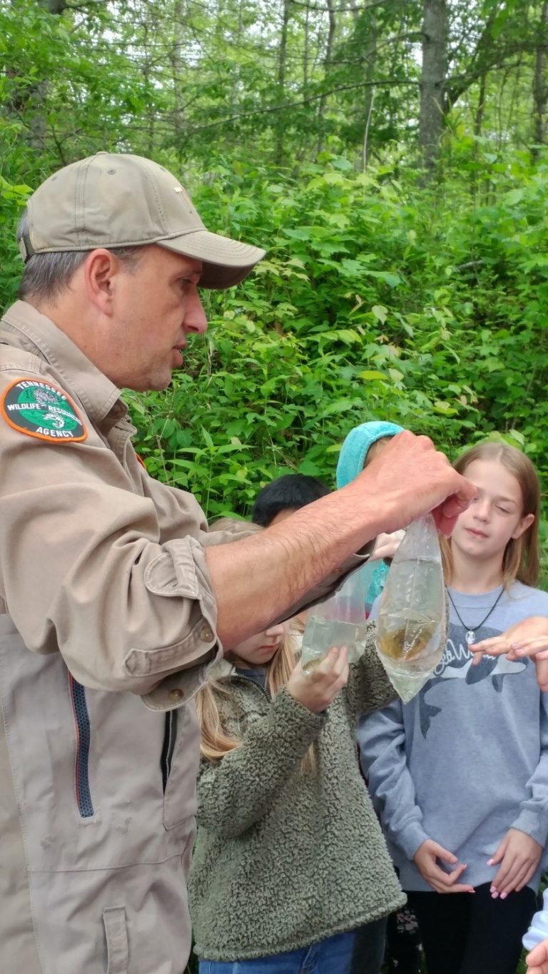 Trout in the Classroom End of School Year Rainbow Trout Release